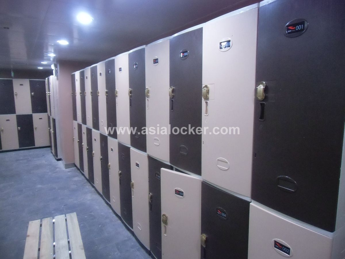 ZXL-ABSL96 ABS lockers
